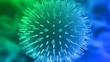 Poti okužbe s humanim papiloma virusom