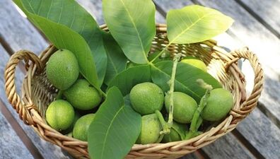 orehi za odstranjevanje papiloma